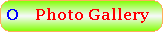 Photo Gallery